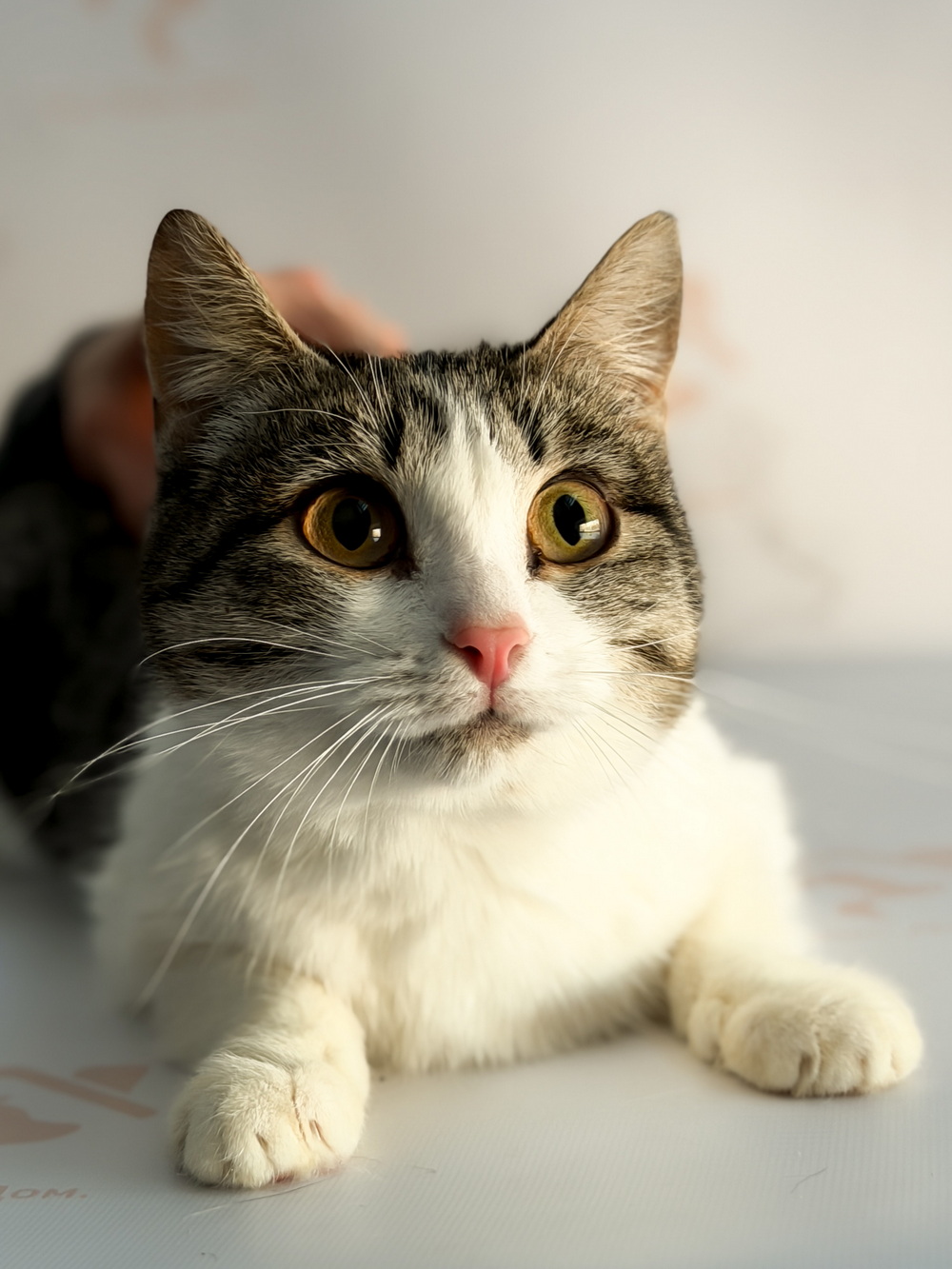 ph: Ирина Никифорова