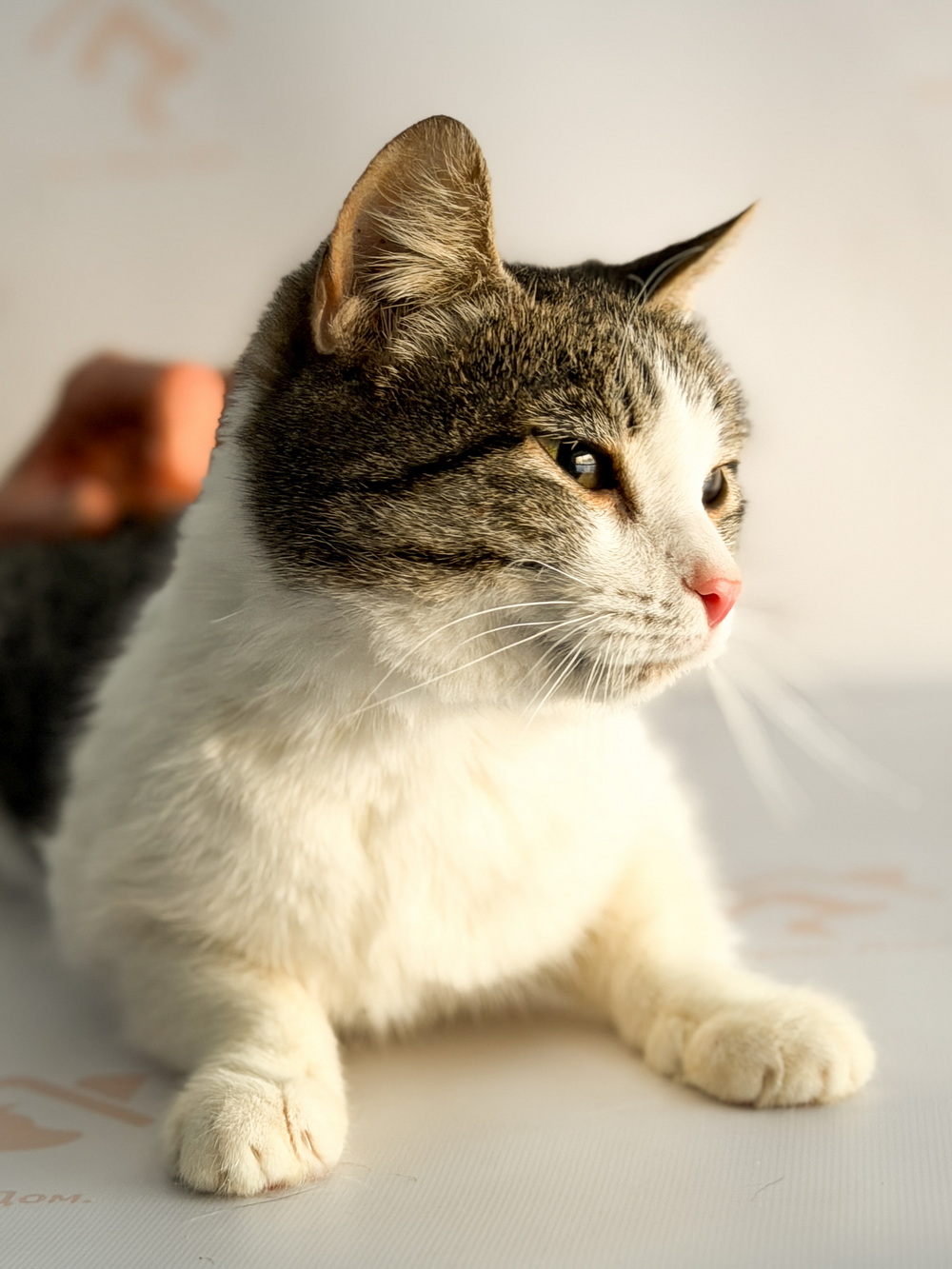 ph: Ирина Никифорова