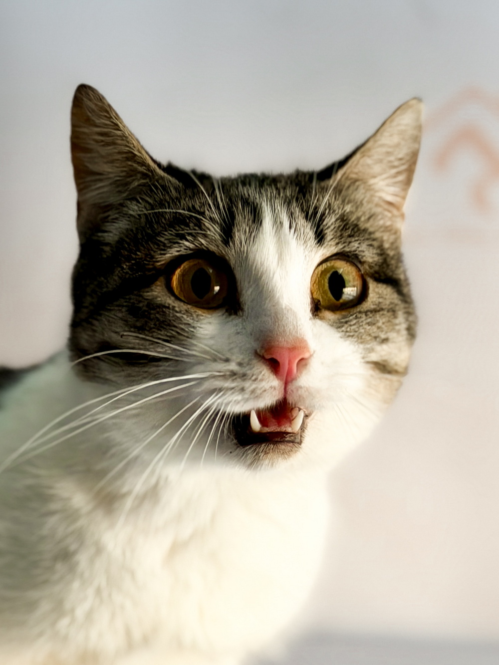 ph: Ирина Никифорова