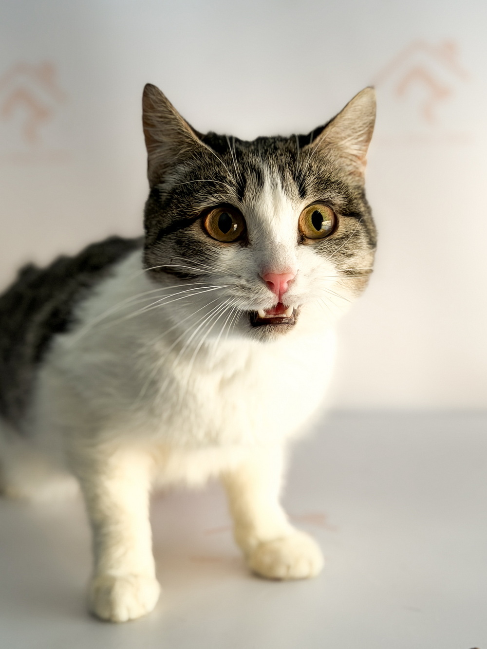 ph: Ирина Никифорова