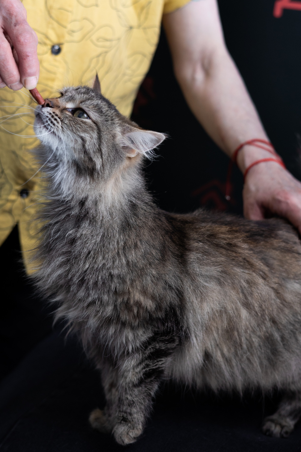 ph: Елена Тимофеева