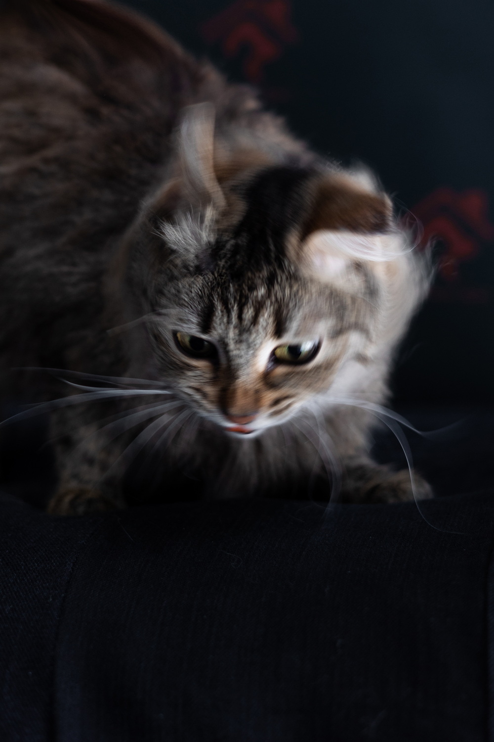 ph: Елена Тимофеева