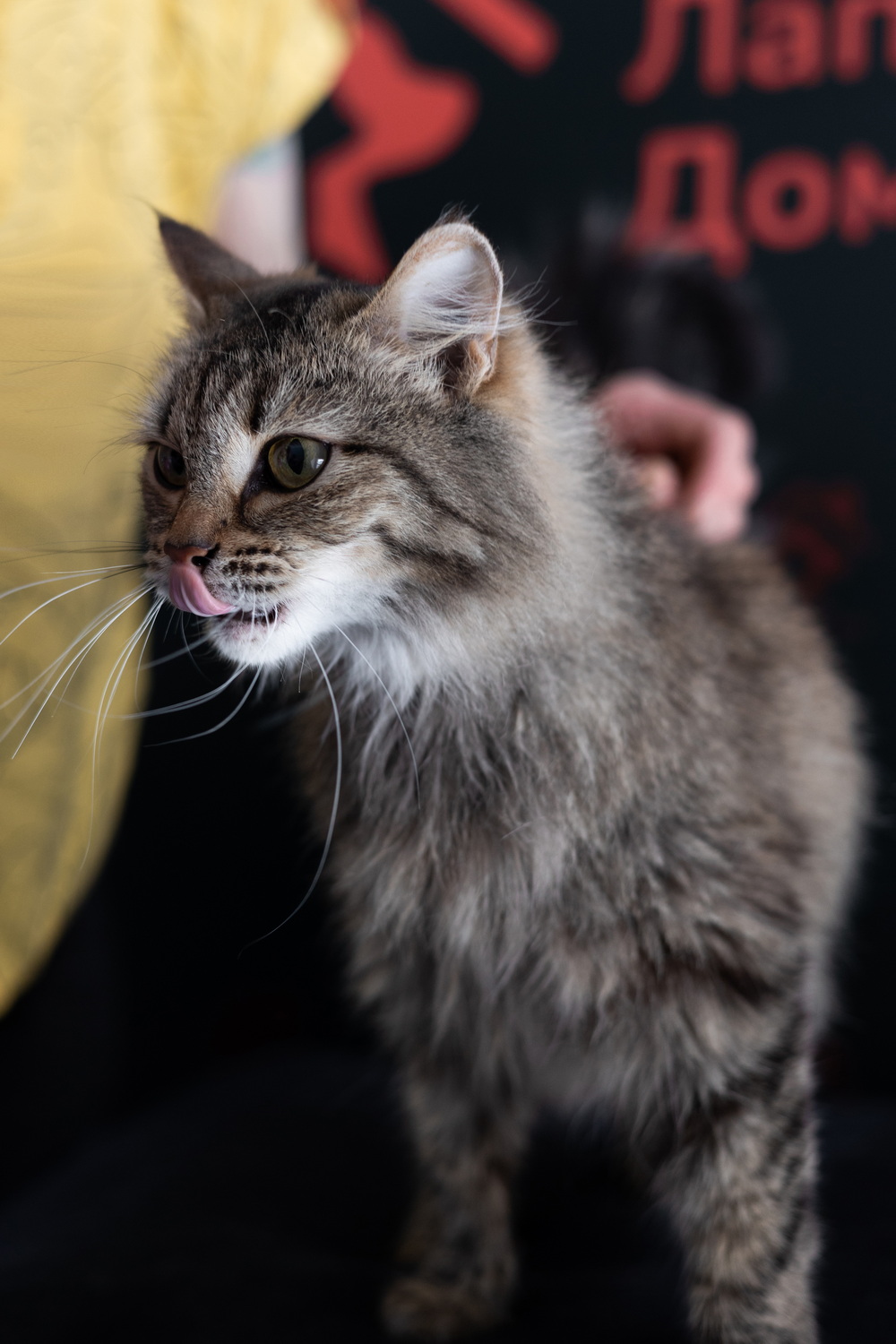 ph: Елена Тимофеева