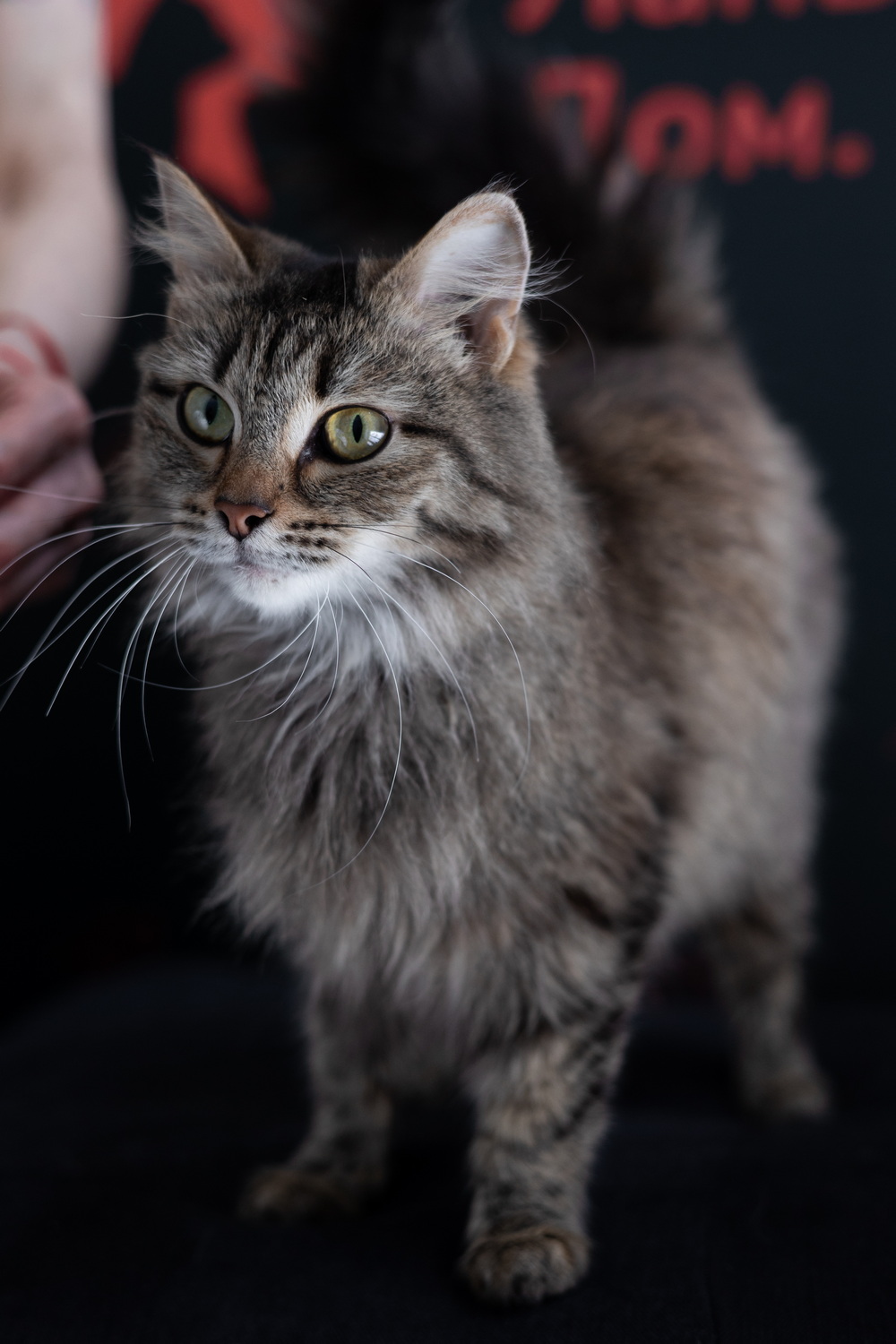 ph: Елена Тимофеева