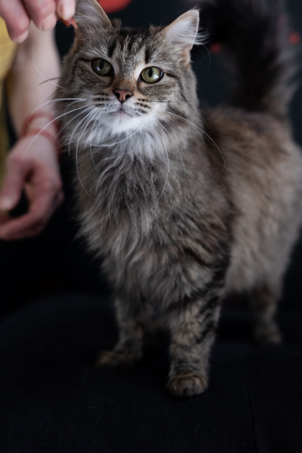 ph: Елена Тимофеева