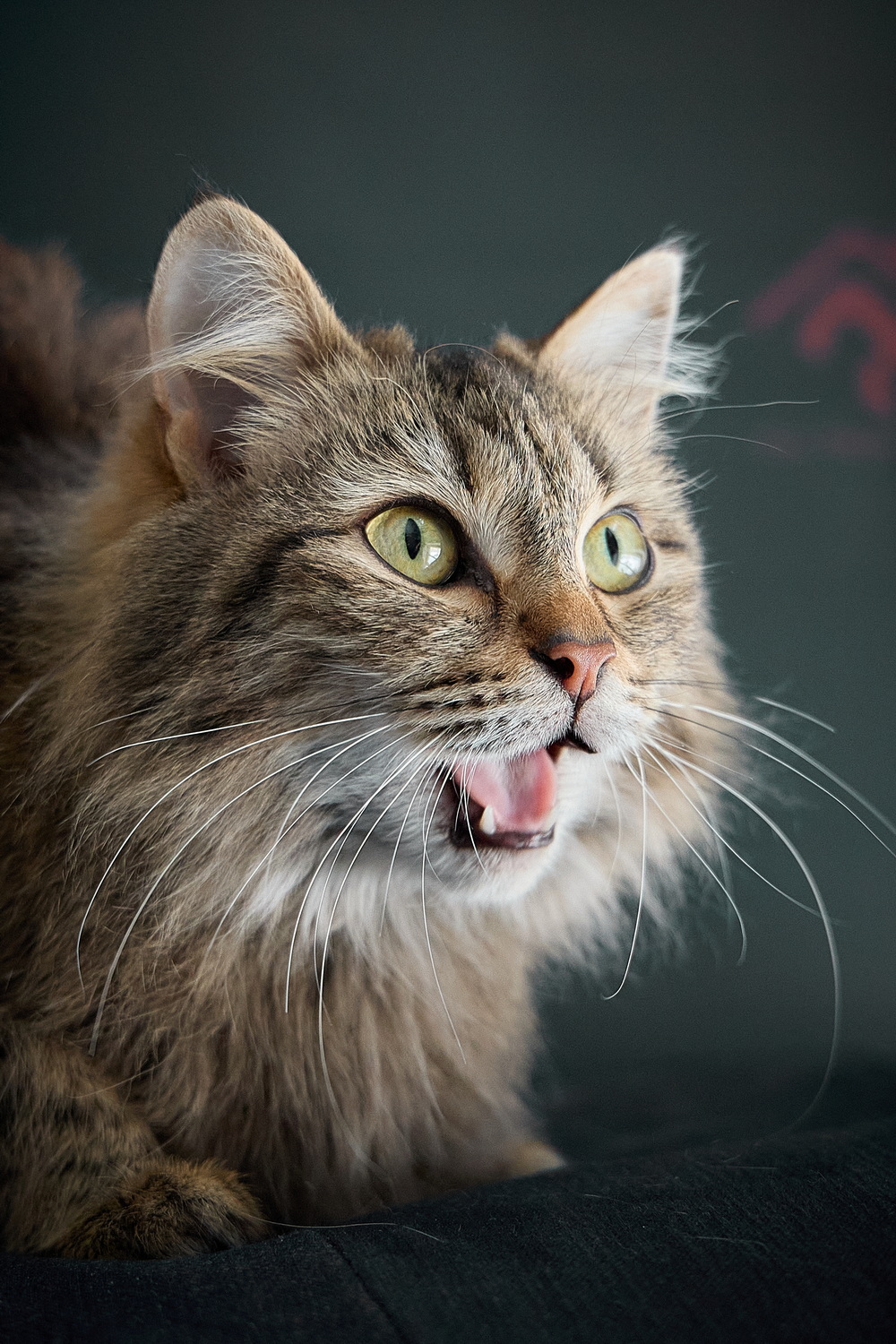 ph: Николай Коба