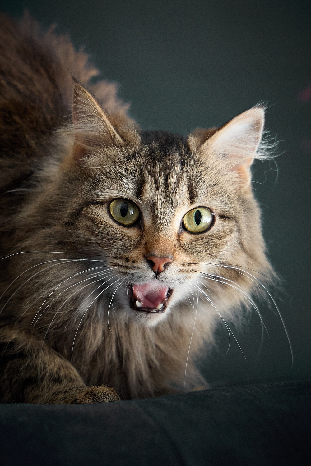 ph: Николай Коба