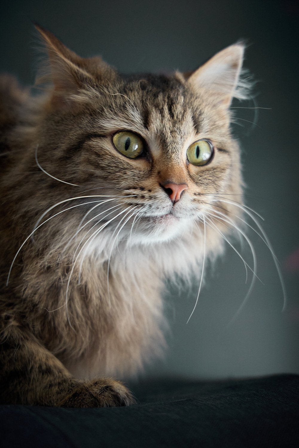 ph: Николай Коба