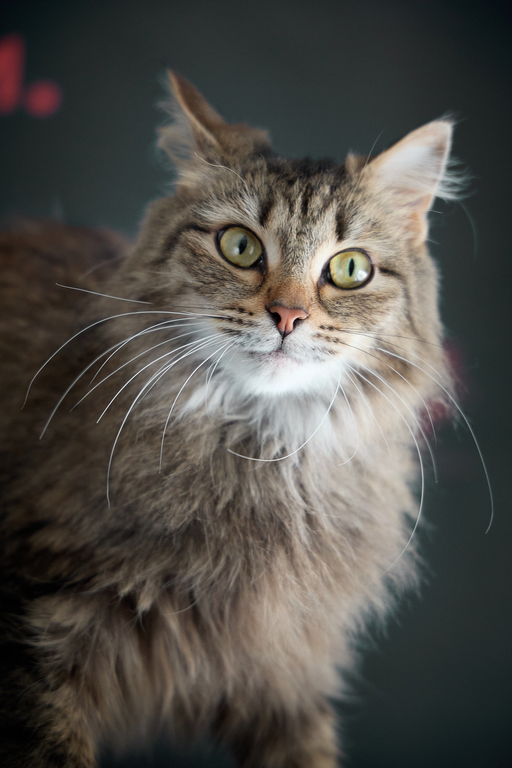 ph: Николай Коба