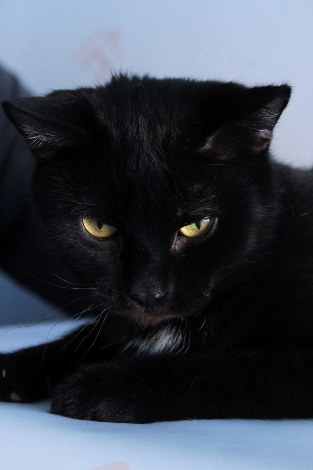 ph: Диана Стафеева