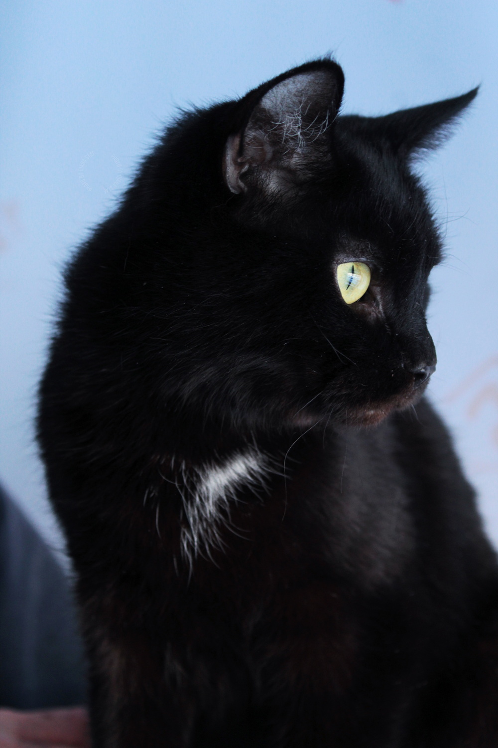 ph: Диана Стафеева