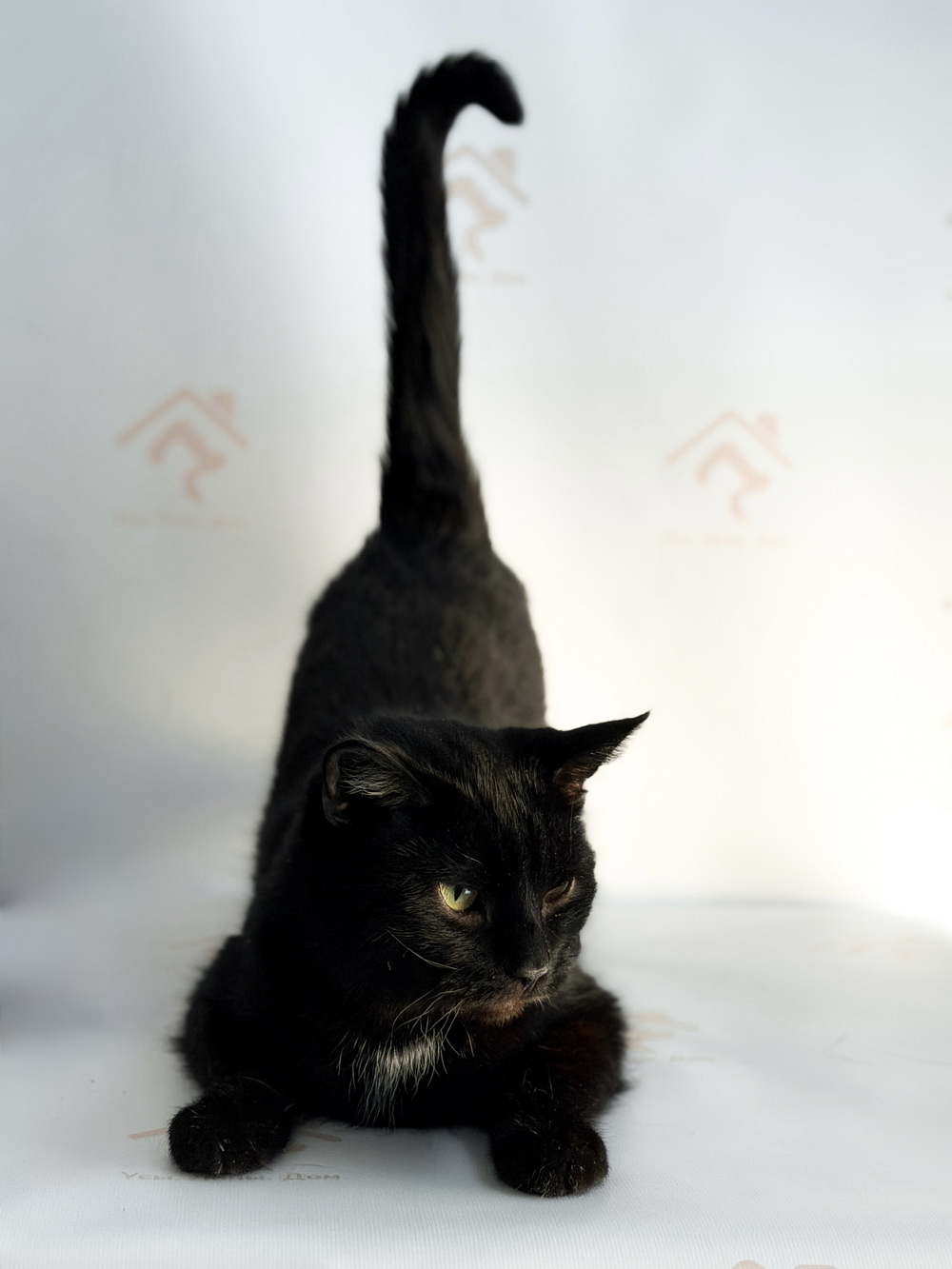 ph: Ирина Никифорова