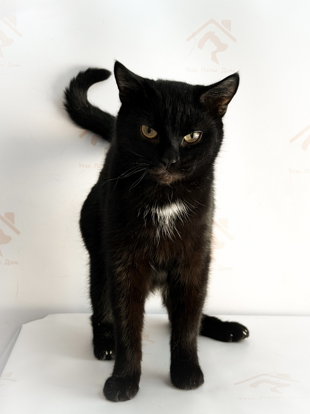 ph: Ирина Никифорова