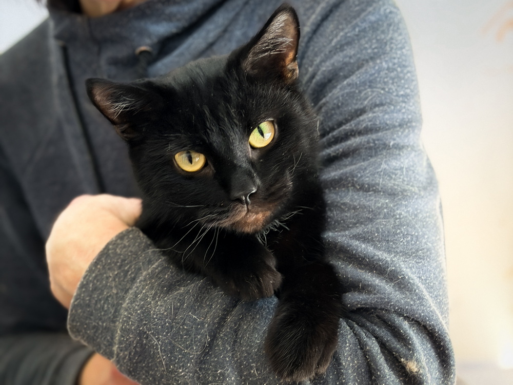 ph: Ирина Никифорова