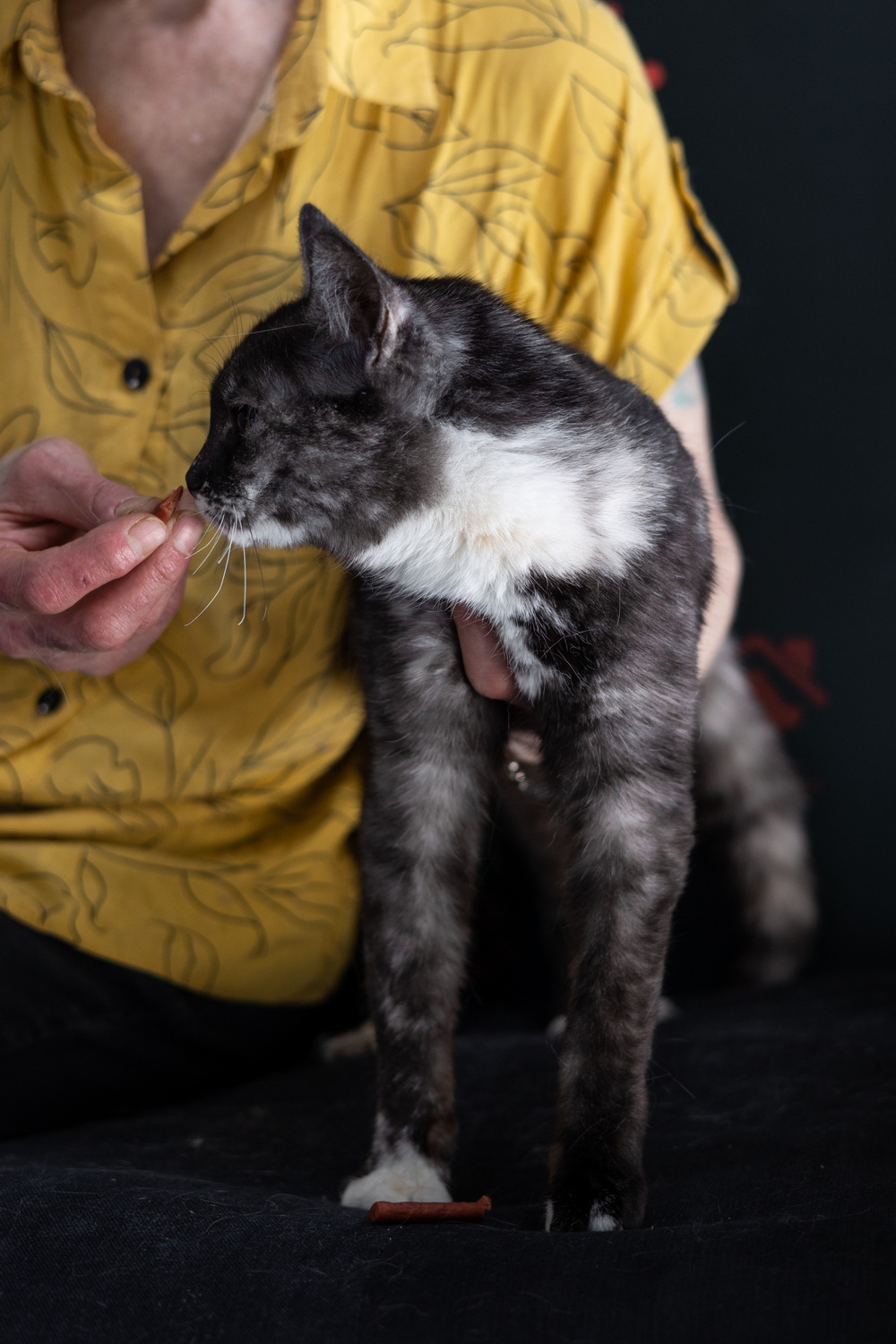 ph: Елена Тимофеева