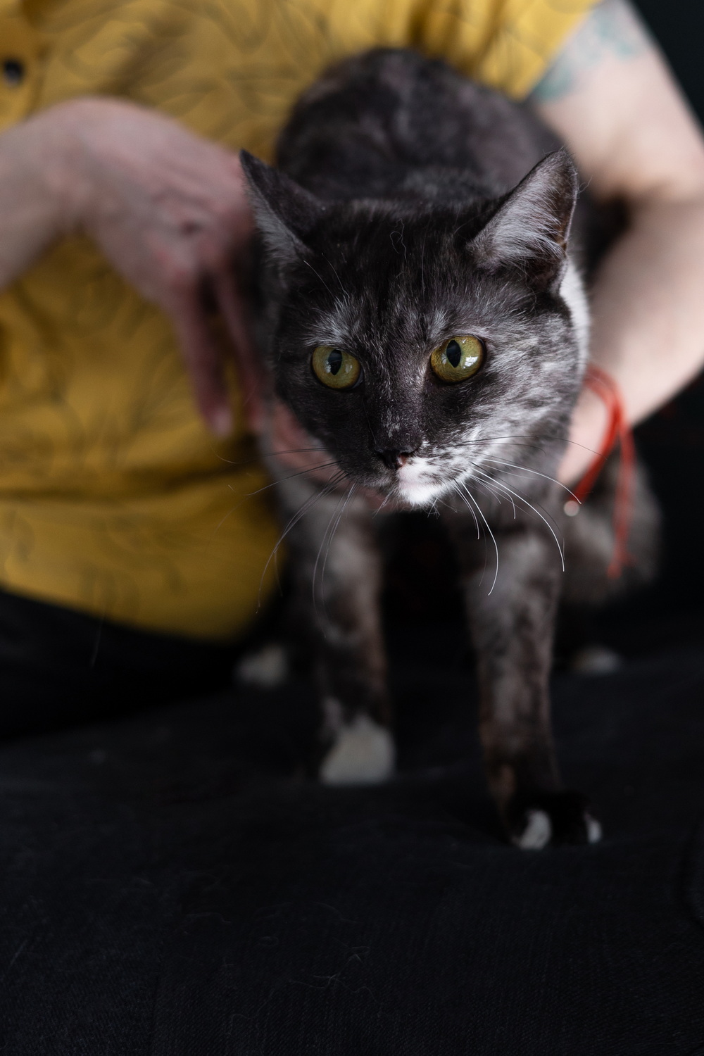 ph: Елена Тимофеева