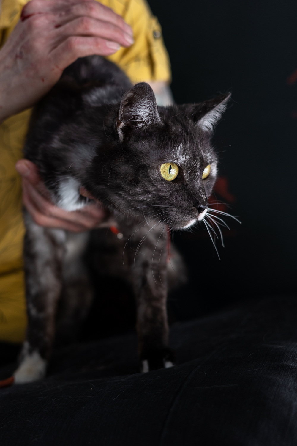 ph: Елена Тимофеева