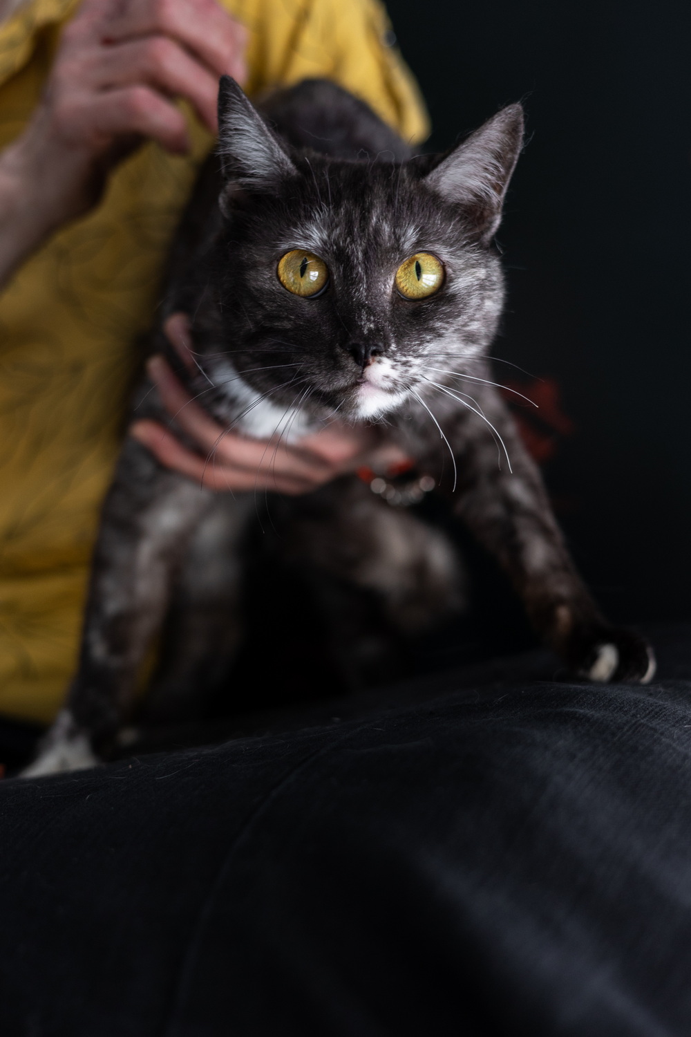 ph: Елена Тимофеева