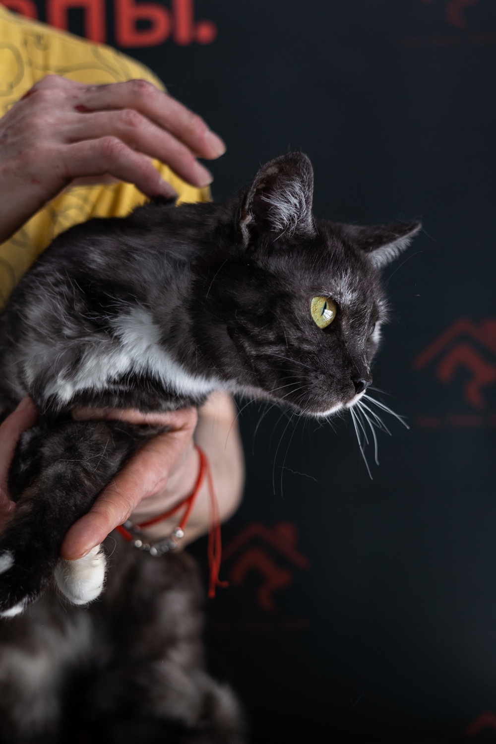 ph: Елена Тимофеева