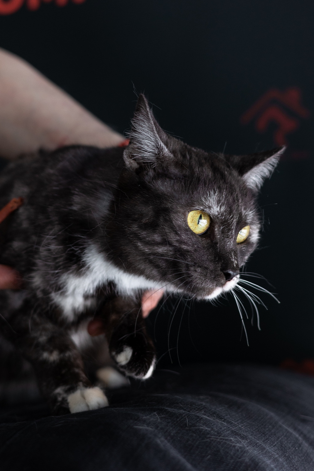 ph: Елена Тимофеева