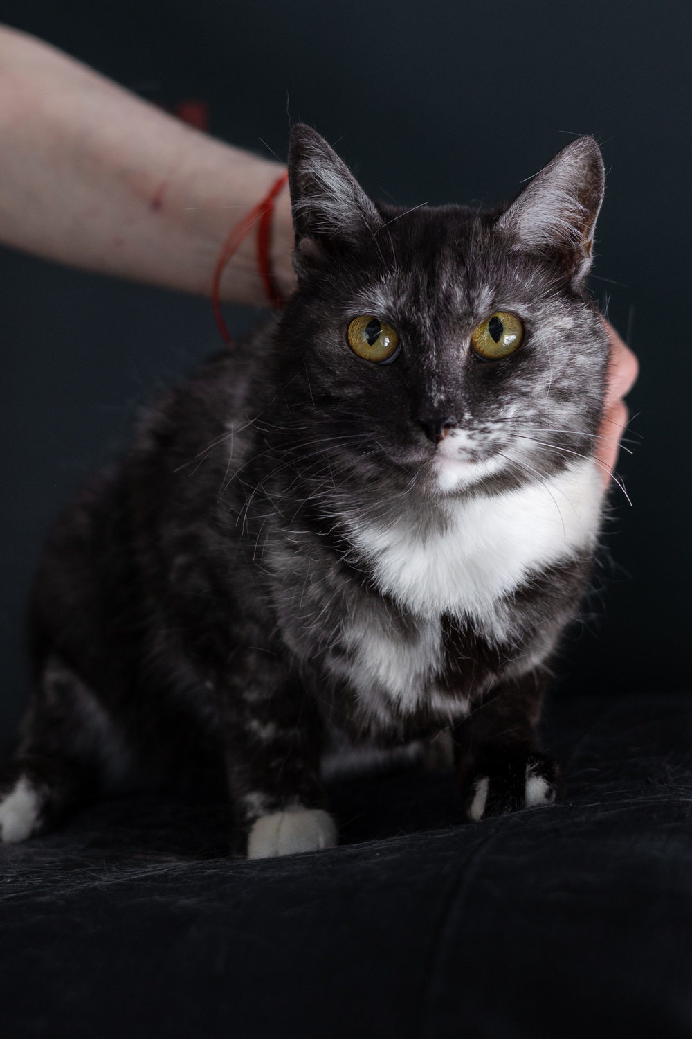 ph: Елена Тимофеева