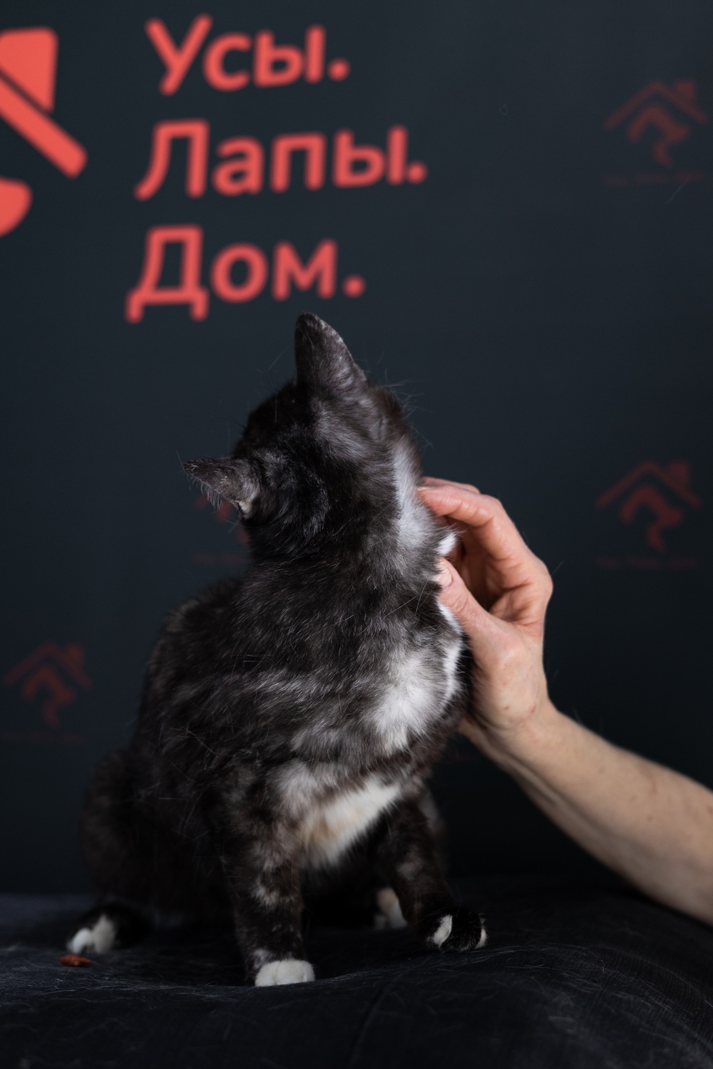 ph: Елена Тимофеева