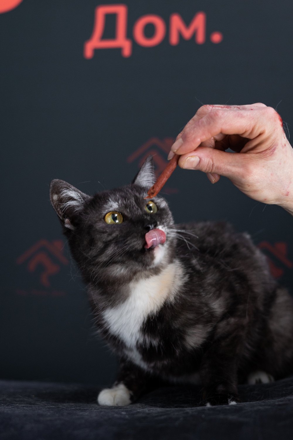 ph: Елена Тимофеева