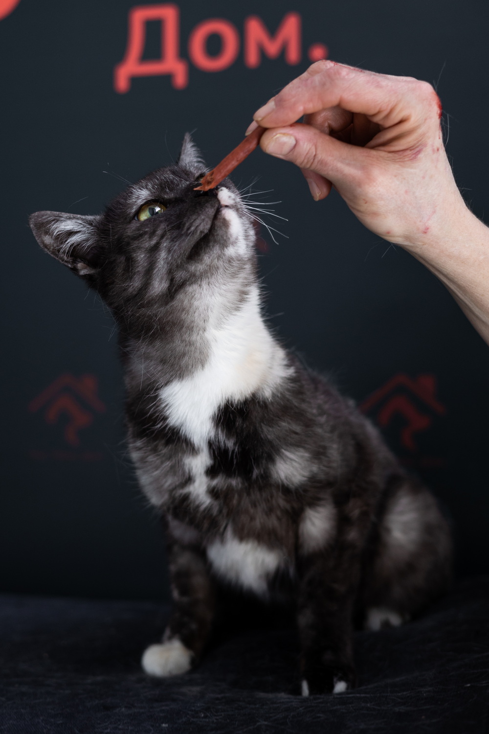 ph: Елена Тимофеева