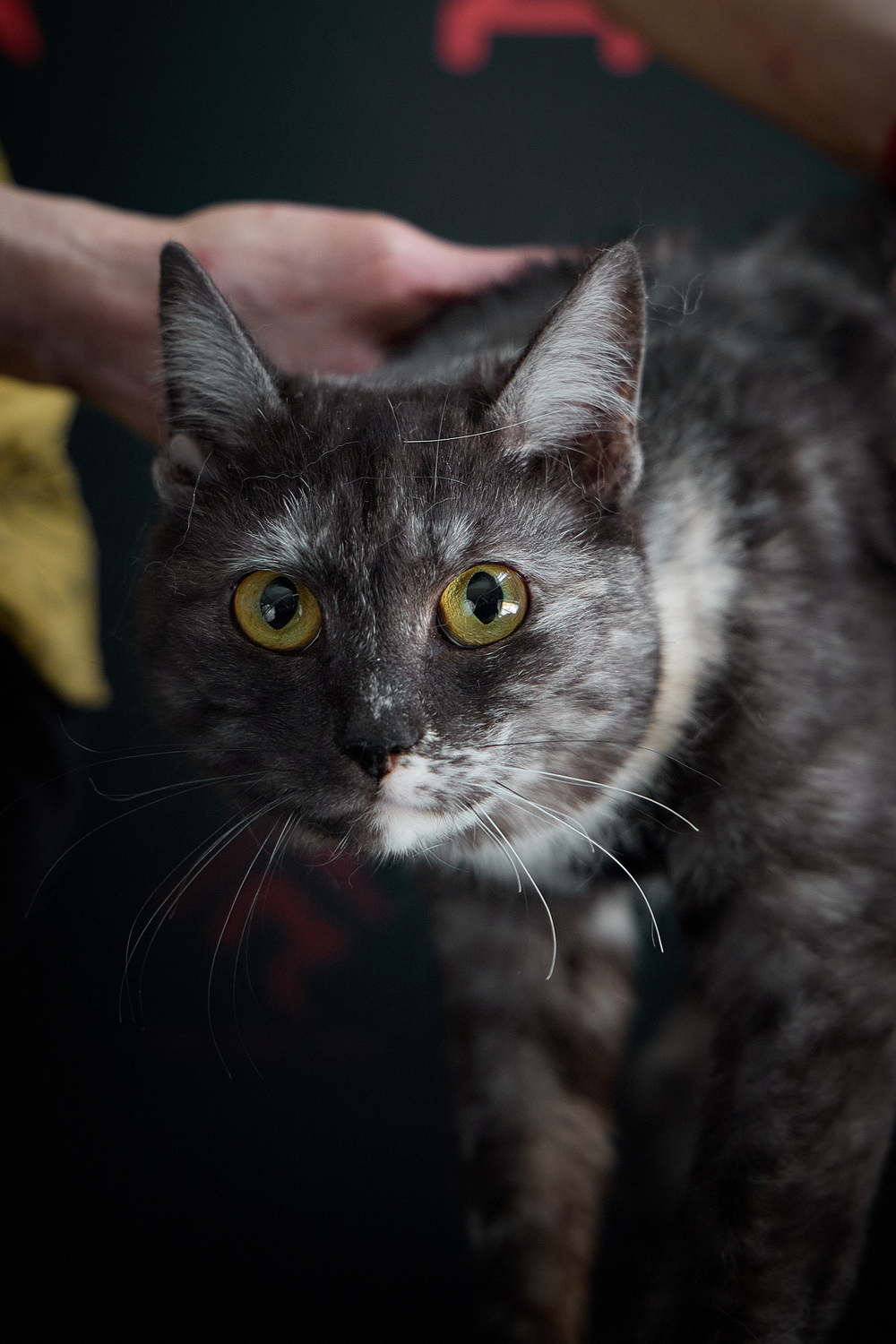 ph: Николай Коба