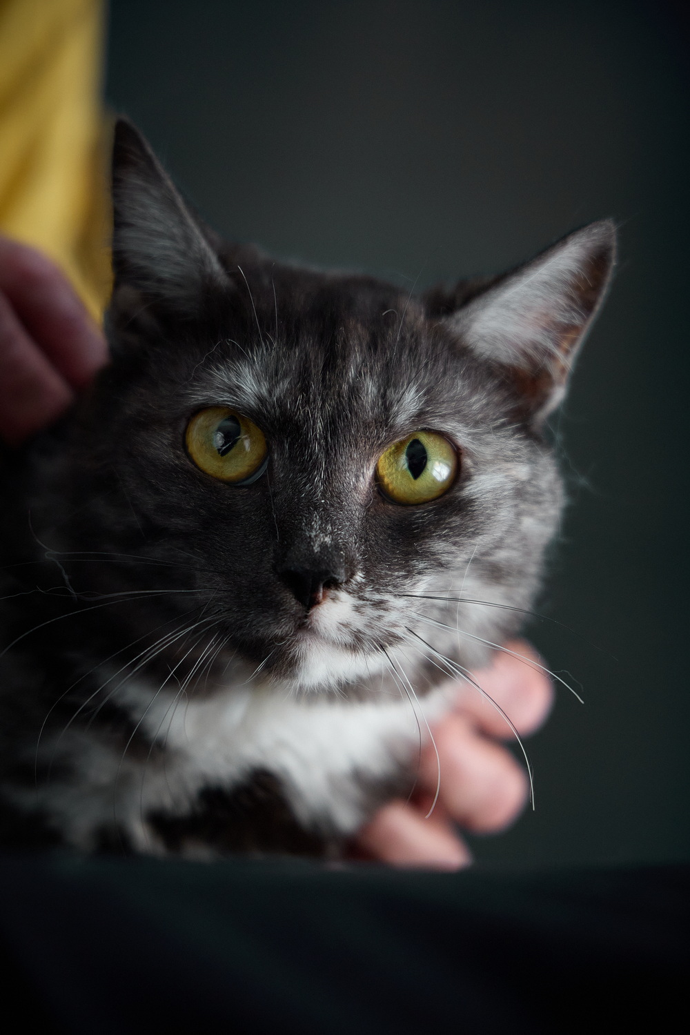 ph: Николай Коба