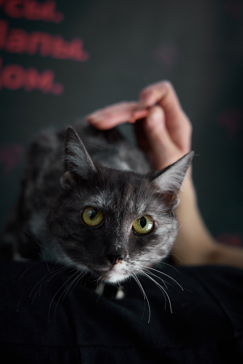 ph: Николай Коба