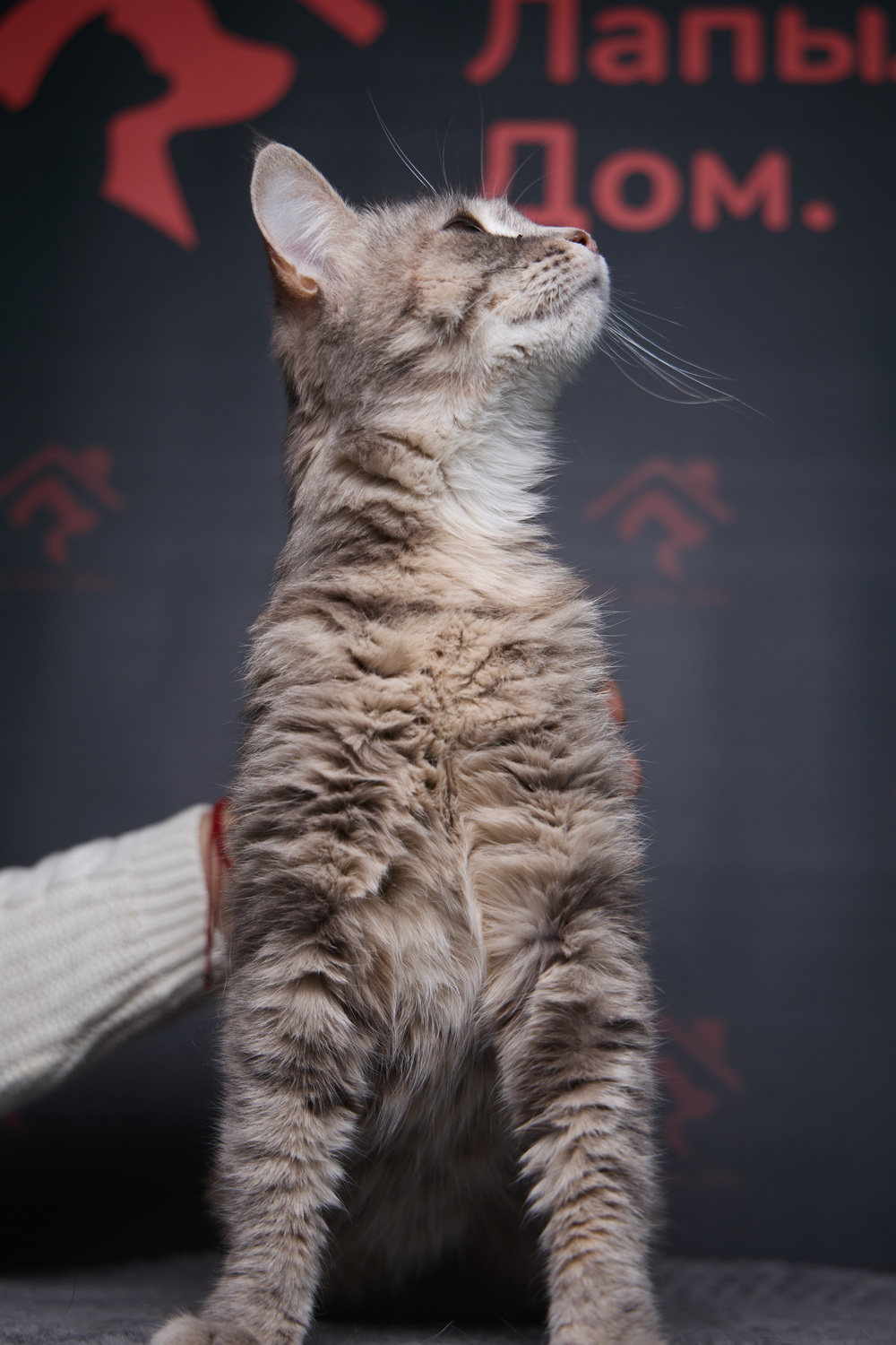 ph: Николай Коба