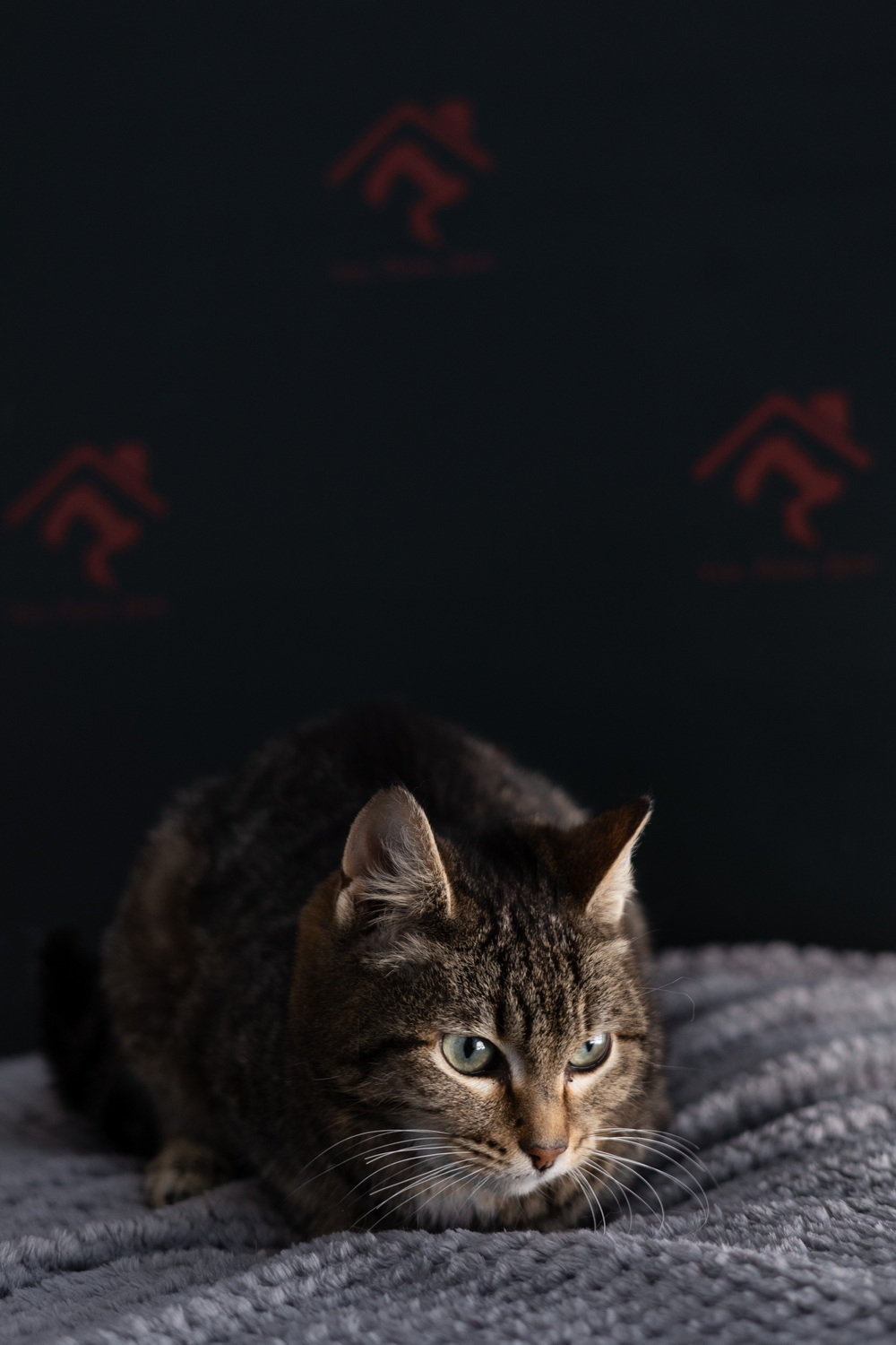 ph: Елена Тимофеева