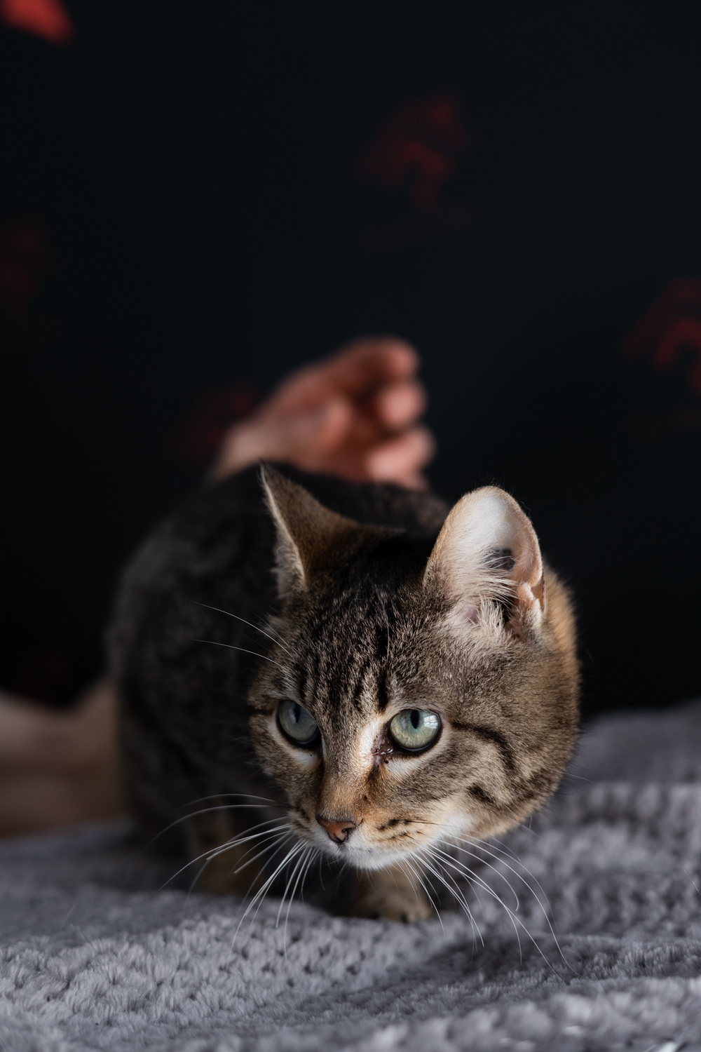 ph: Елена Тимофеева