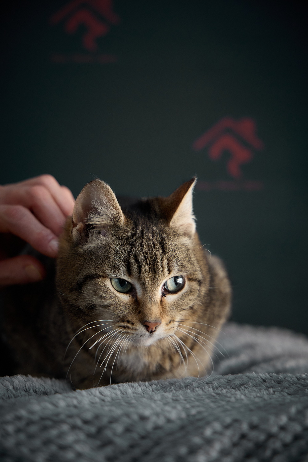 ph: Николай Коба