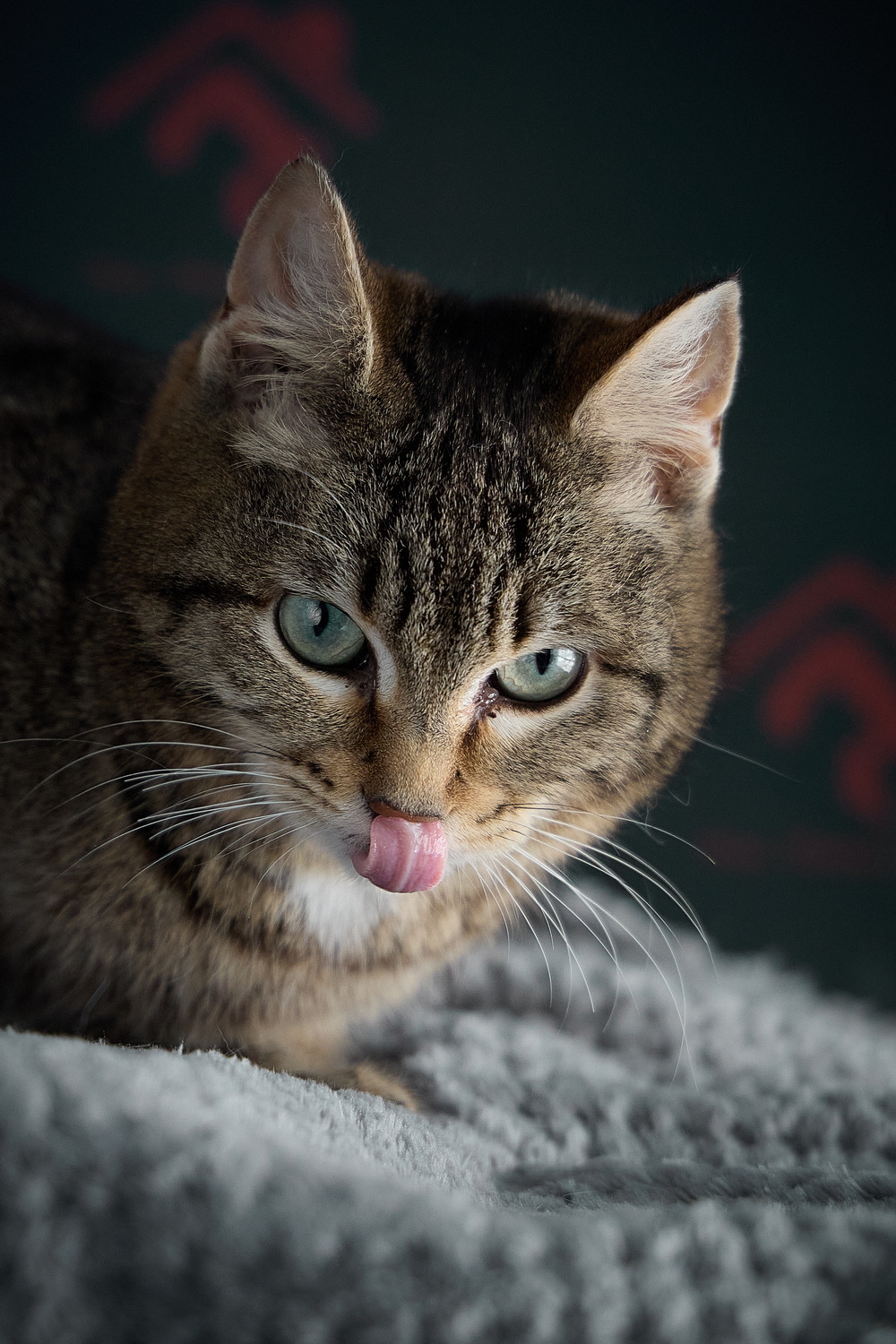 ph: Николай Коба