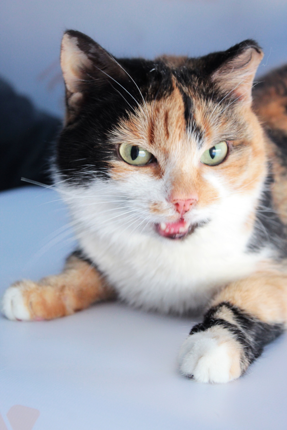 ph: Диана Стафеева