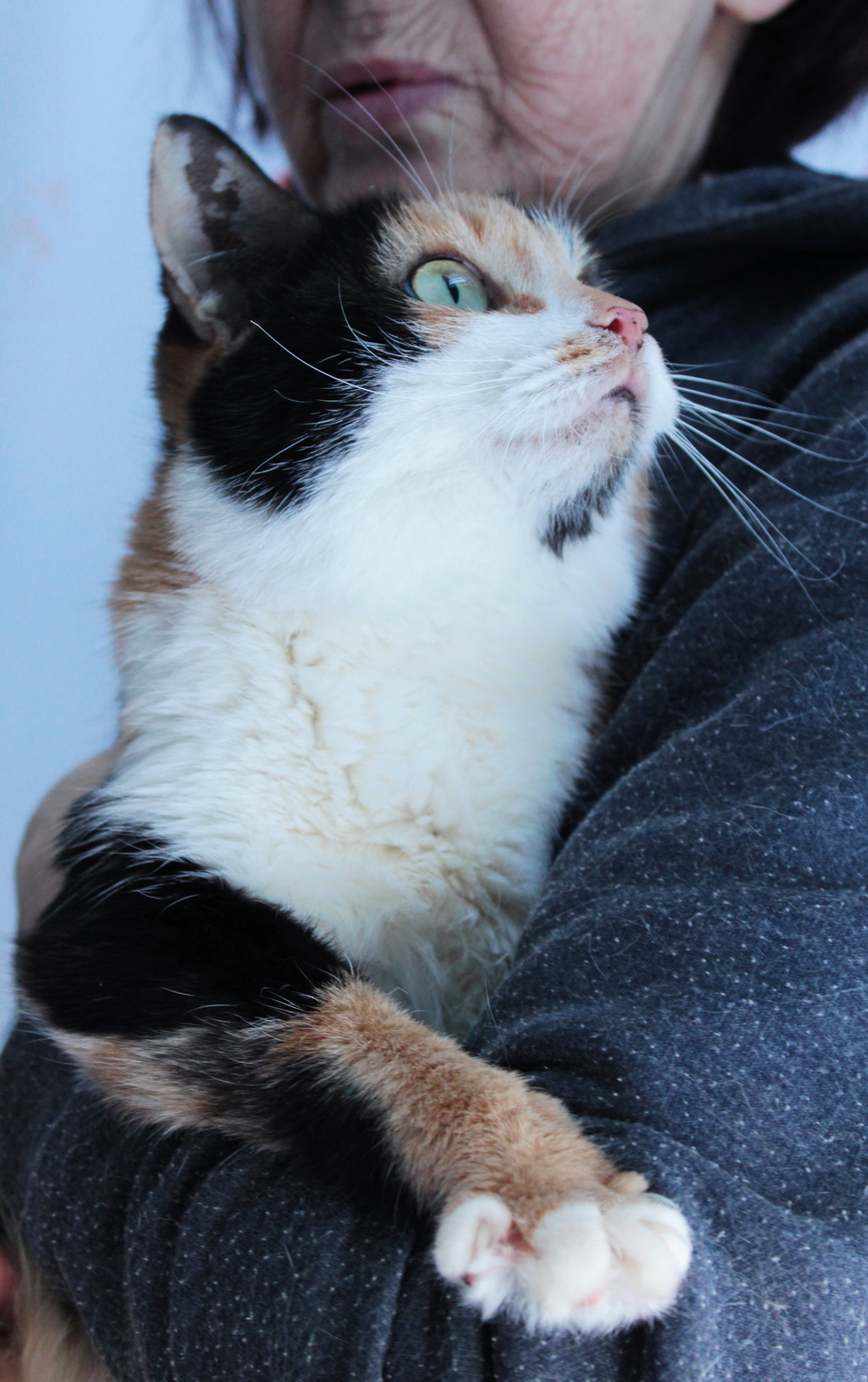 ph: Диана Стафеева