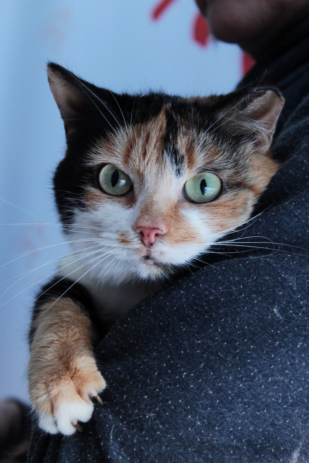 ph: Диана Стафеева