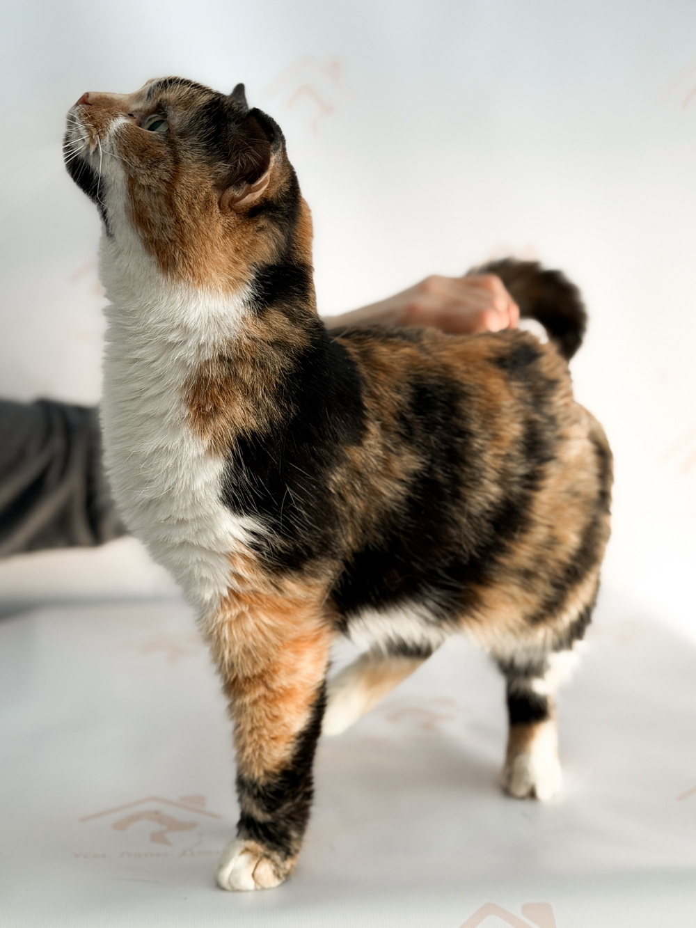 ph: Ирина Никифорова