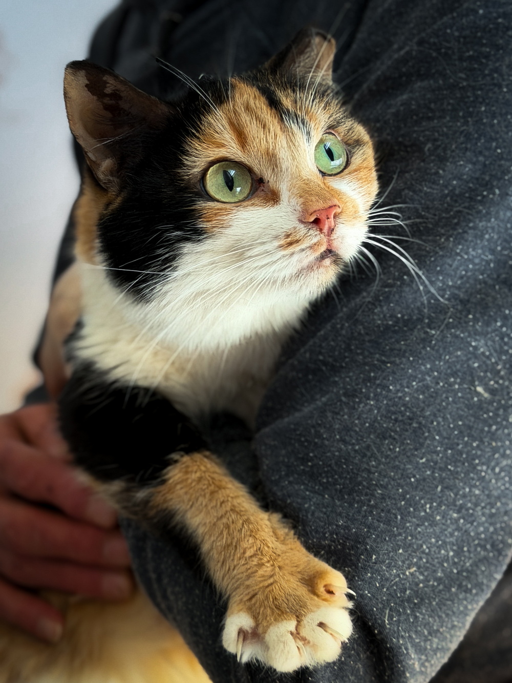 ph: Диана Стафеева