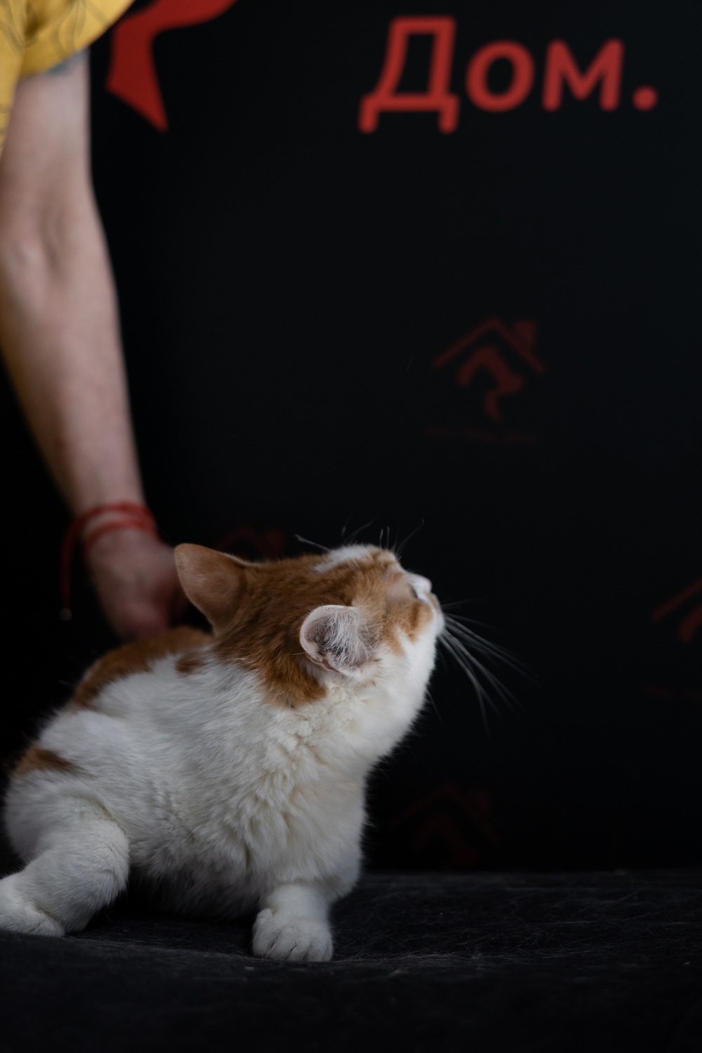 ph: Елена Тимофеева