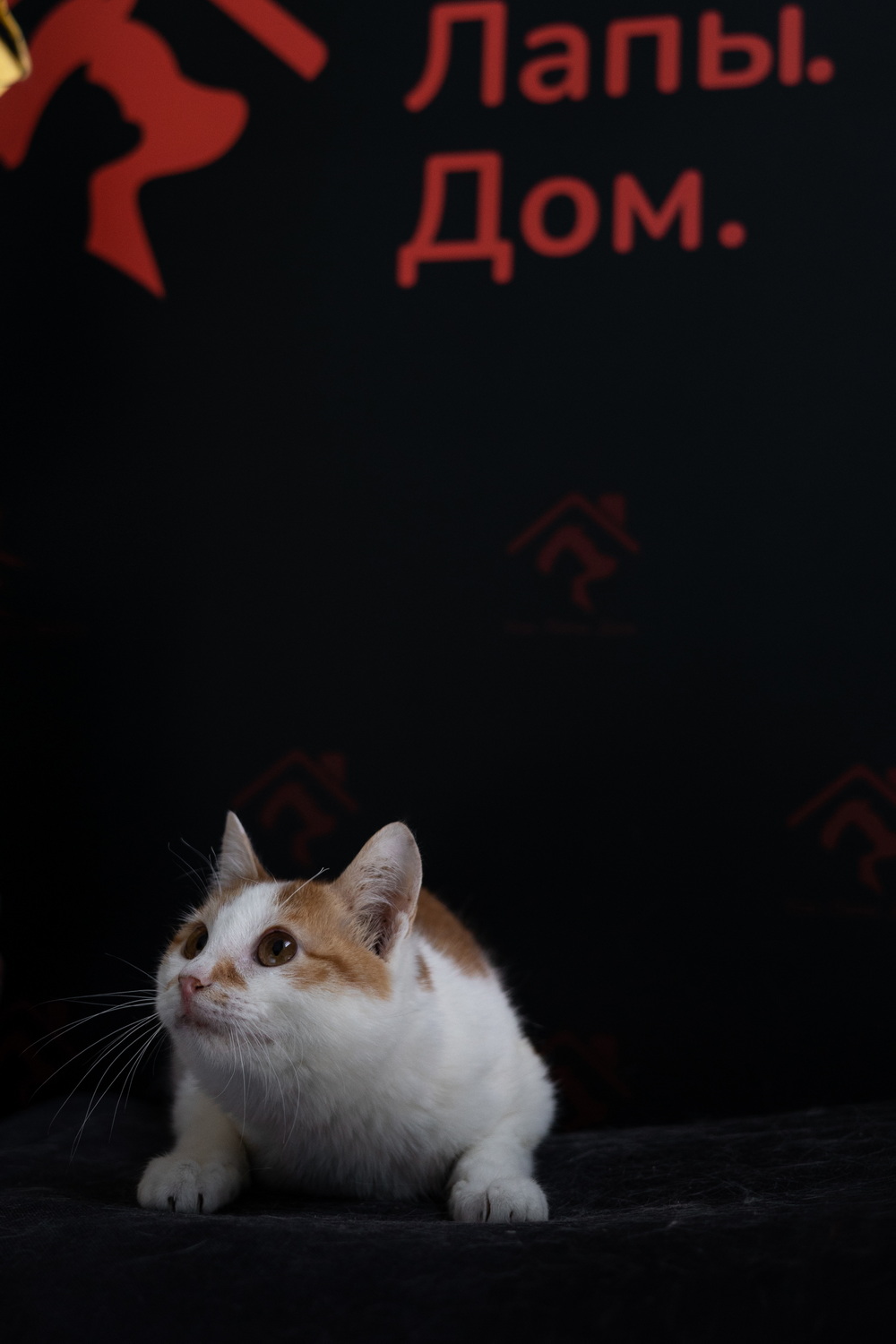 ph: Елена Тимофеева