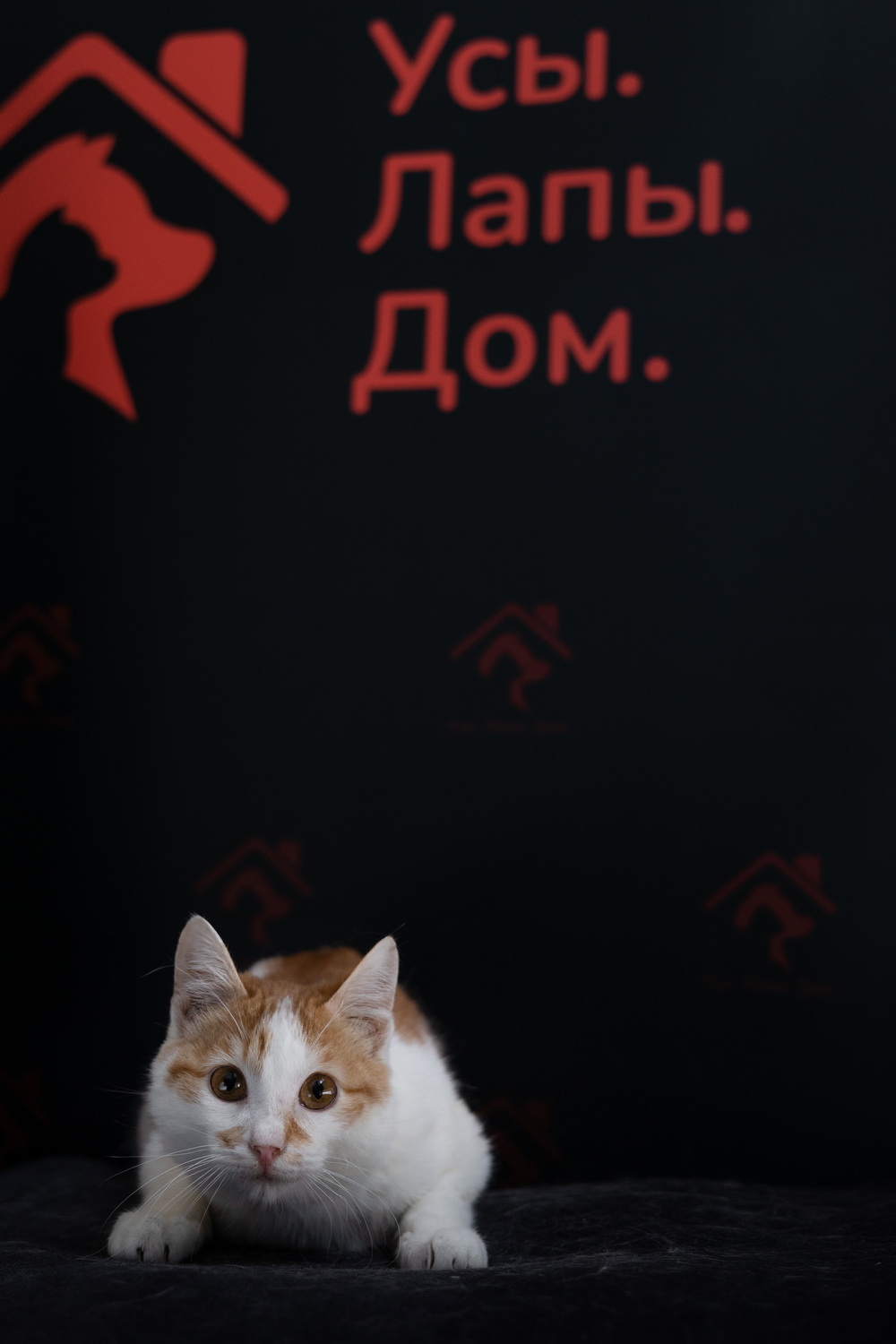 ph: Елена Тимофеева