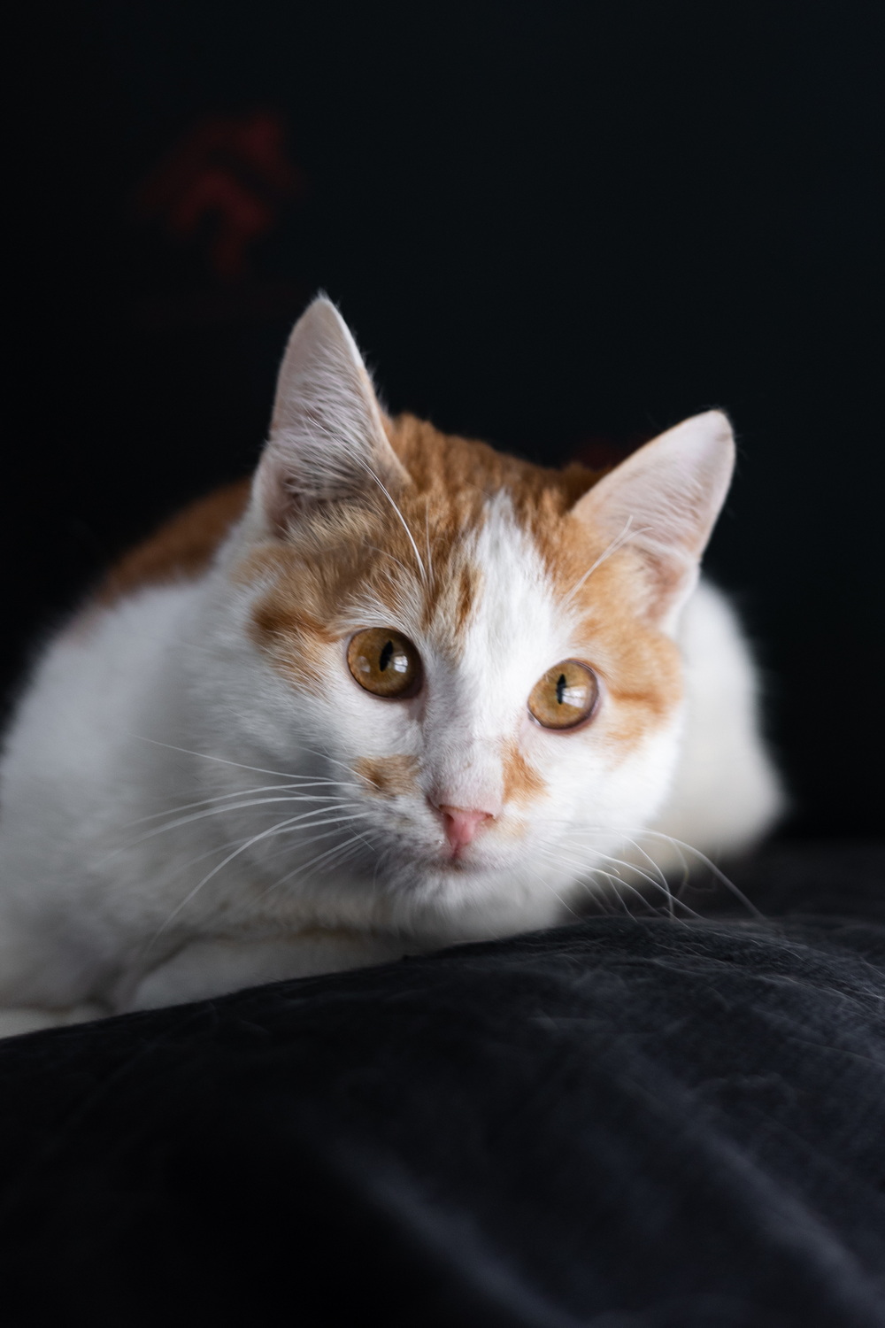 ph: Елена Тимофеева