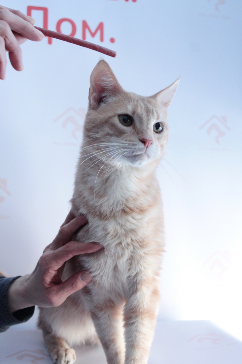 ph: Диана Стафеева