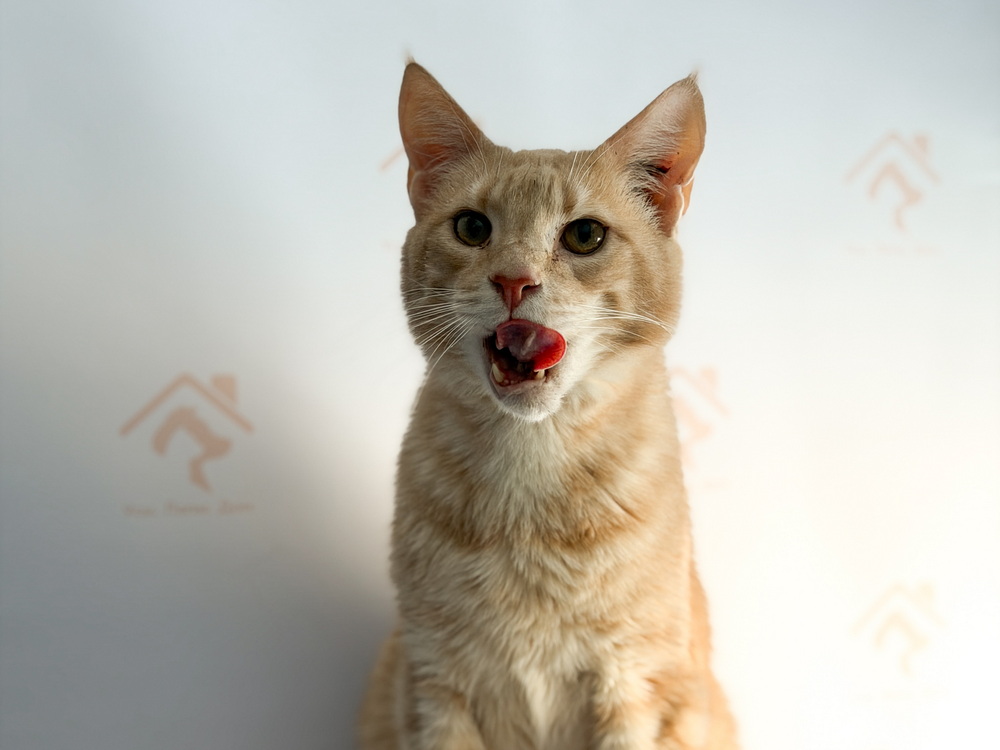 ph: Ирина Никифорова