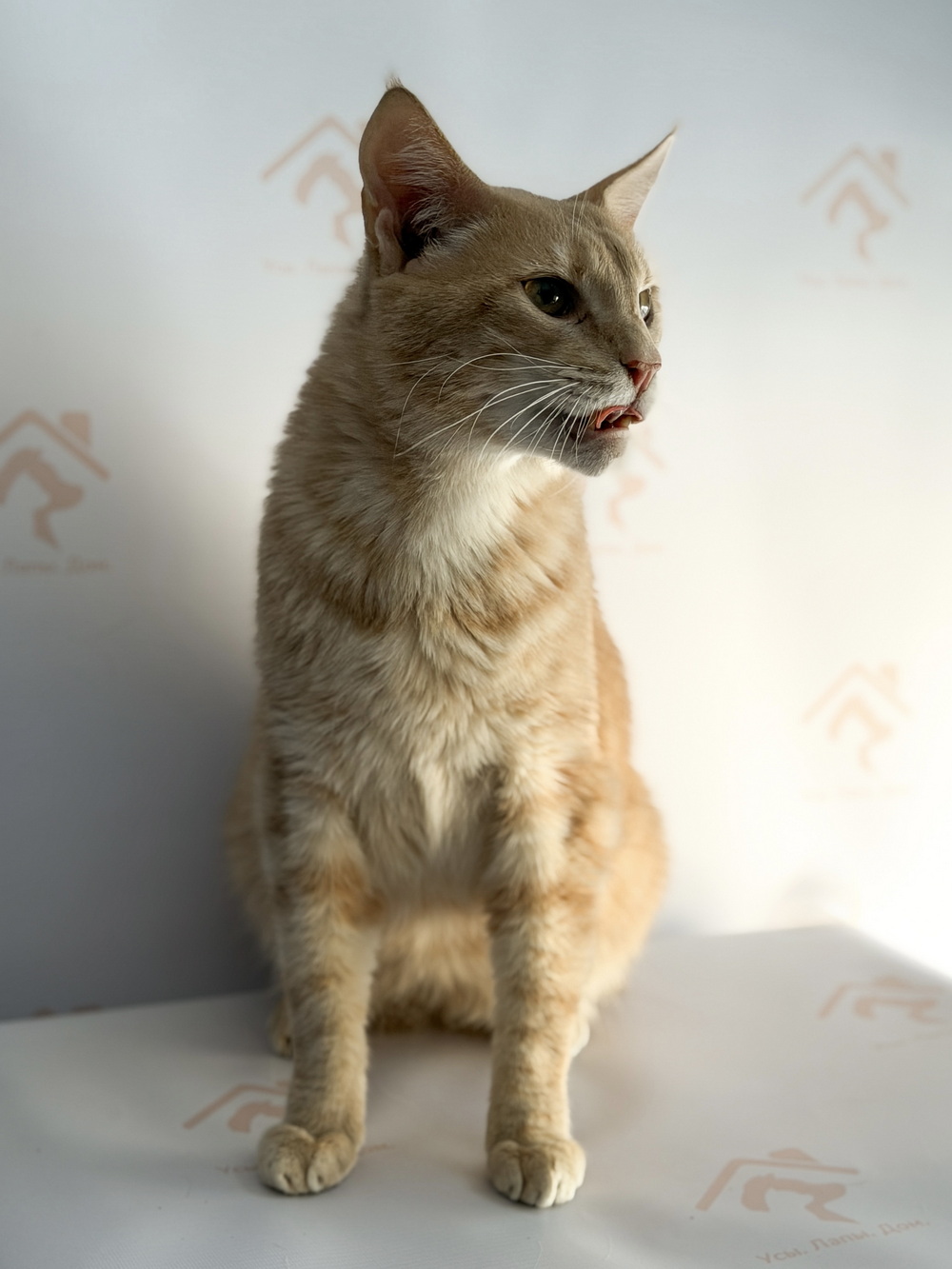 ph: Ирина Никифорова