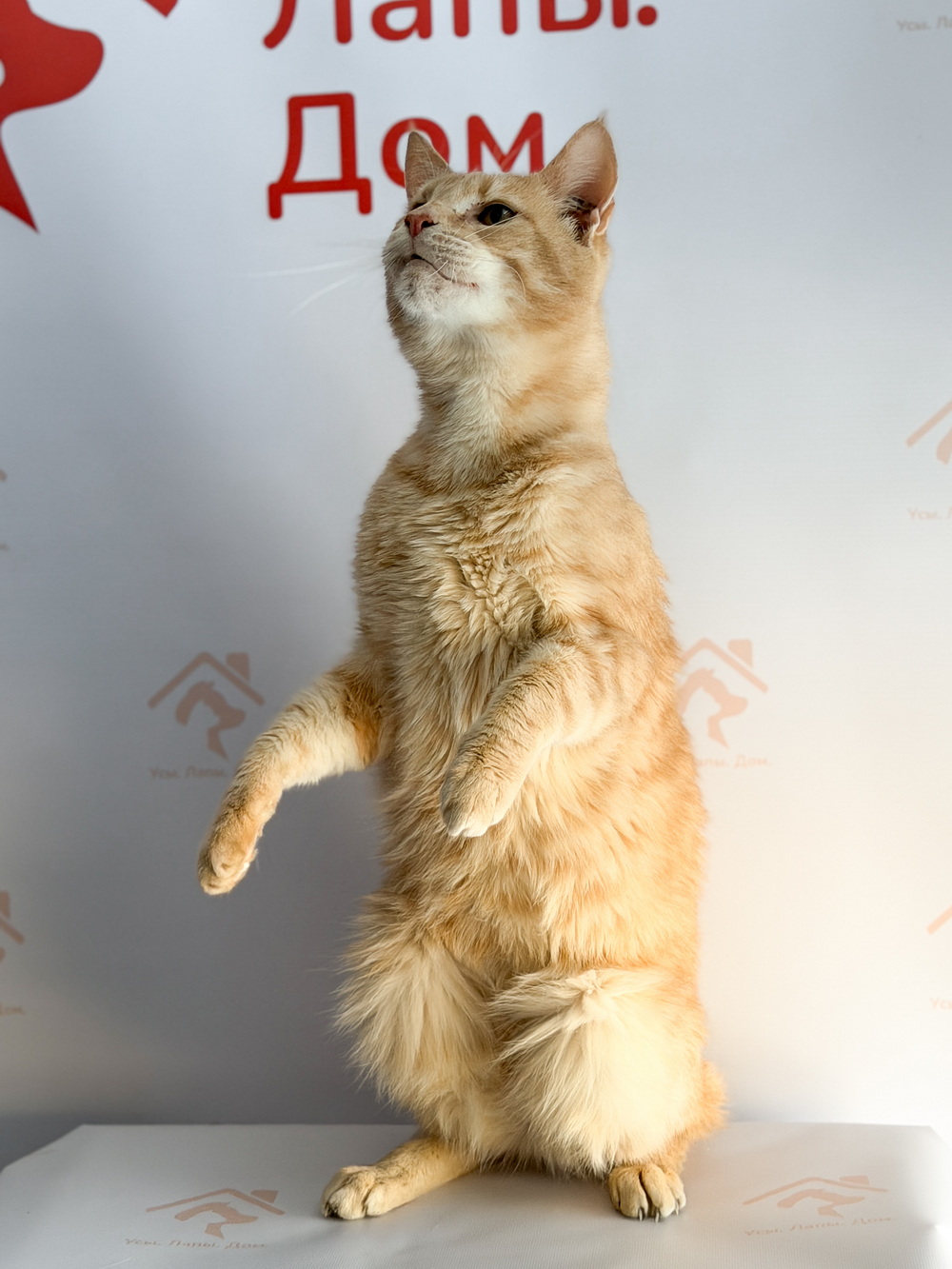 ph: Ирина Никифорова