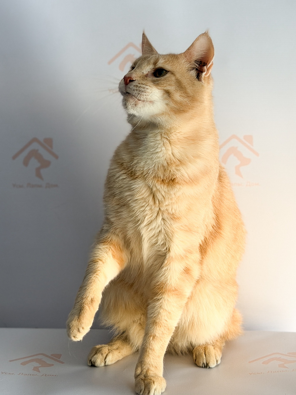 ph: Ирина Никифорова